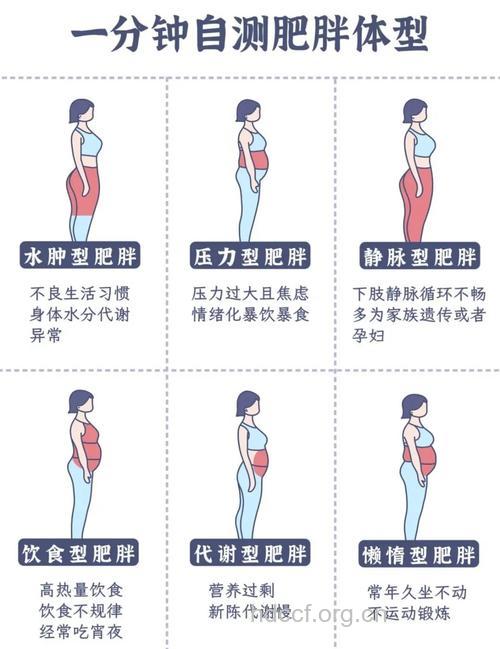 自测下你是不是个隐形的胖子