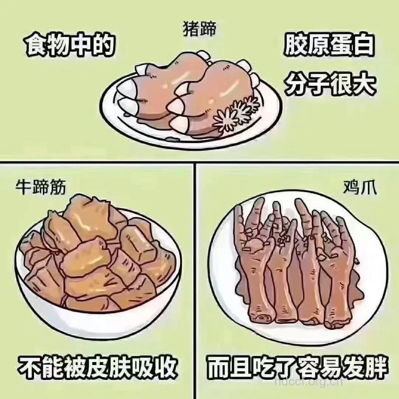 胶原蛋白不如猪蹄?