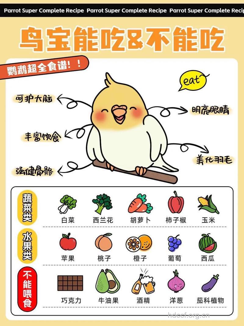 怎样快速减肥不反弹？推荐小鸟胃减肥法