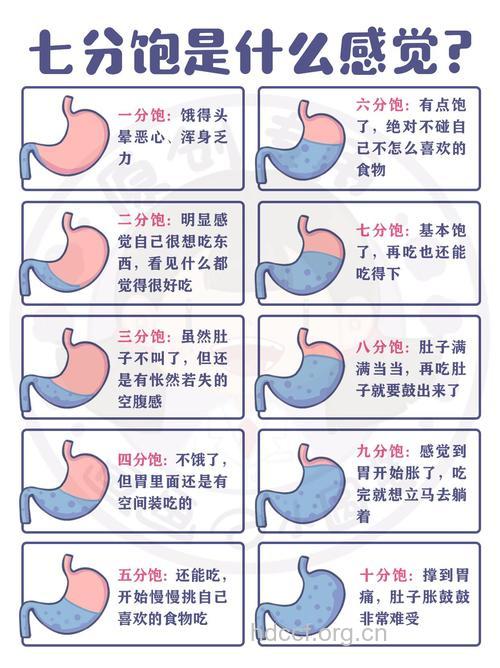 七分饱是什么概念 教你如何判断七分饱