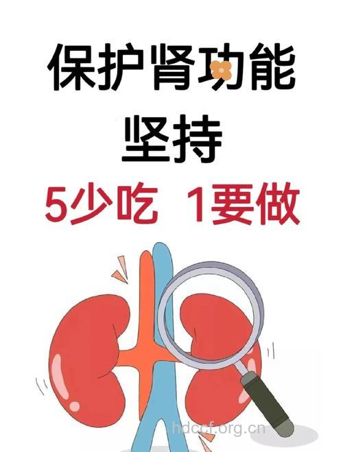 提醒:人到中年“护”好肾