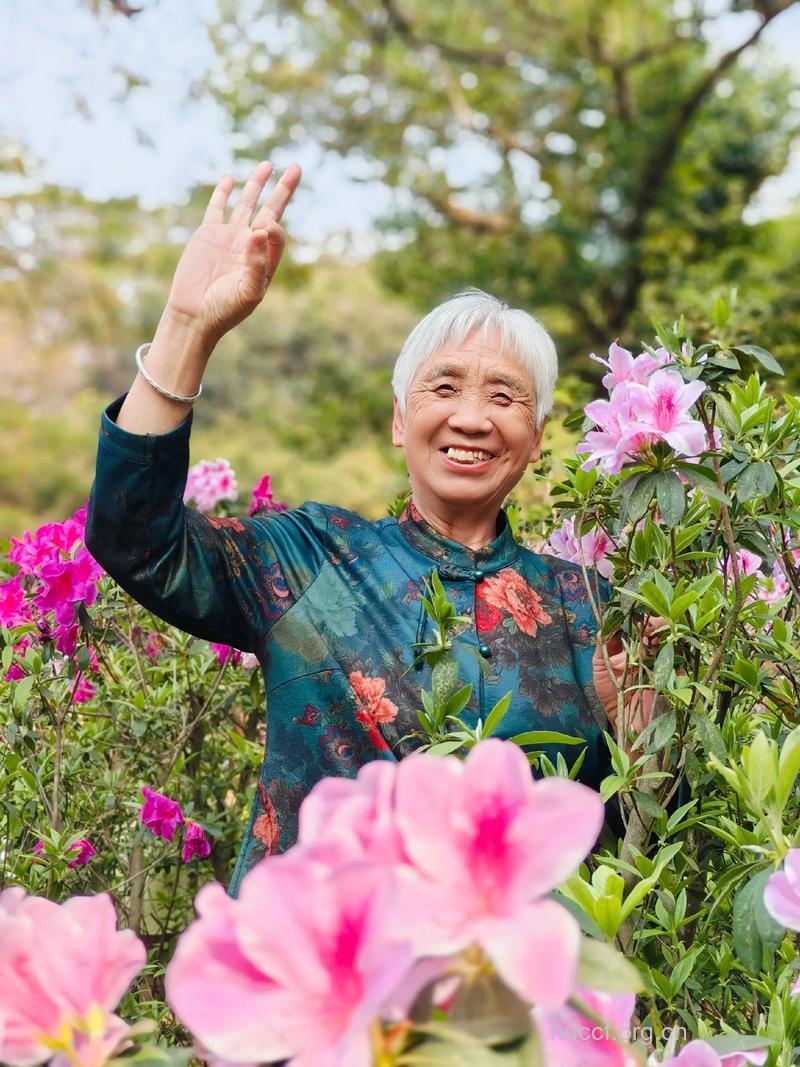 老年人赏花有讲究