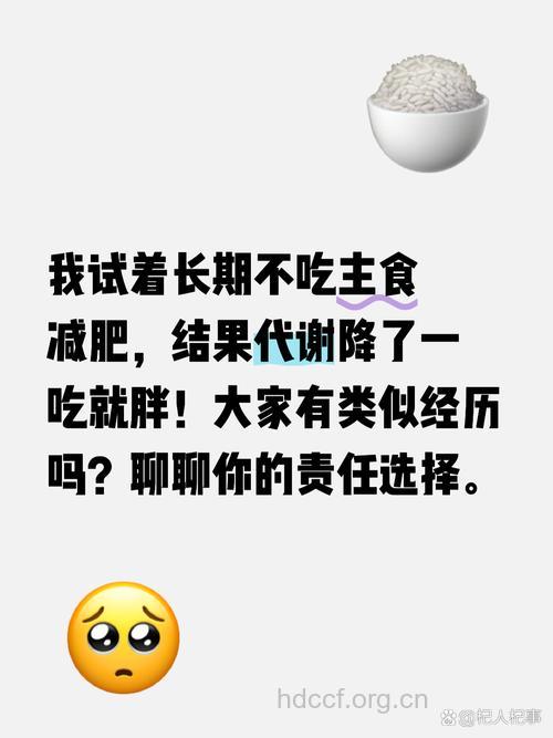 不吃米饭不可以减肥 反而会更胖!