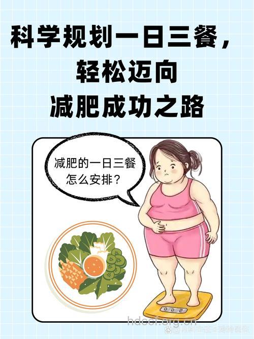 跟着生物钟吃不会胖 减肥从学会吃开始