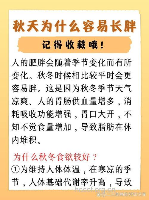 秋季这4种情况最容易长胖