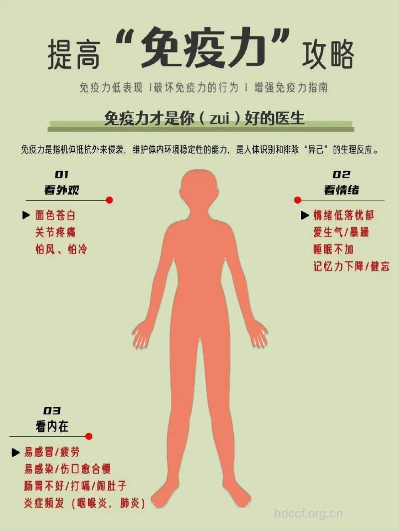人体免疫系统具有抗衰老作用