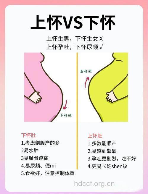 想生二胎是先怀孕还是先减肥
