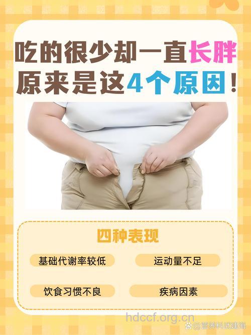 为什么吃的不多却胖的很快