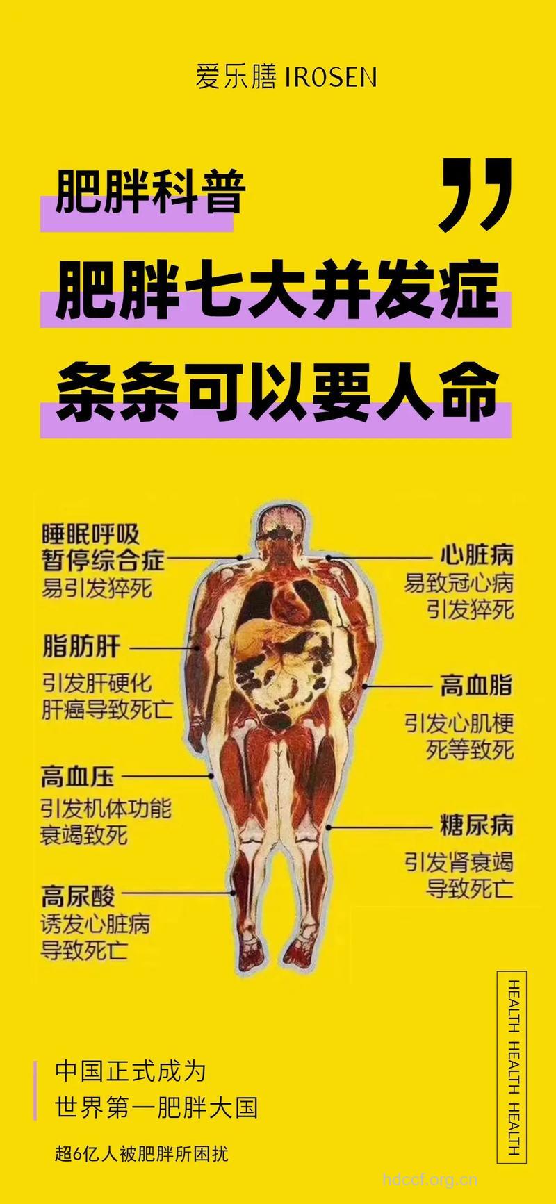 肥胖也会传染？是怎么传染的