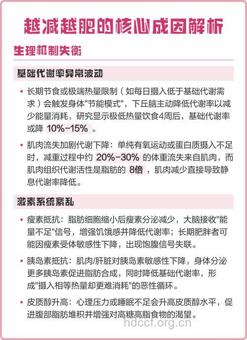 导致我们越减越肥的原因