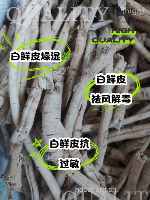 “老菜皮”的美白秘密