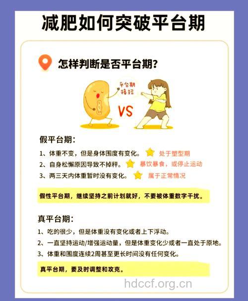 如何利用减肥的平台期减肥