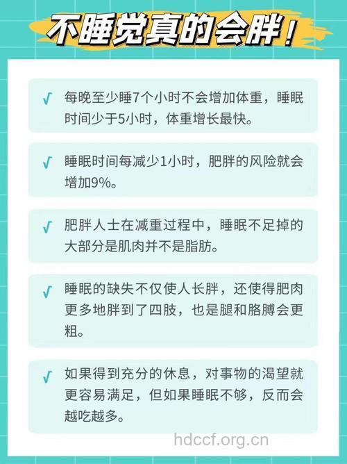 睡眠不足为什么会引起肥胖