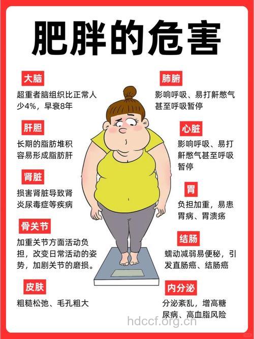 什么是肥胖症状