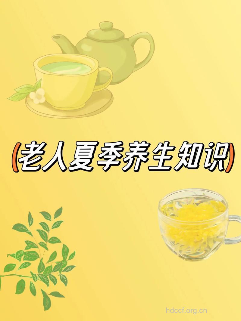 老人度夏有什么妙招