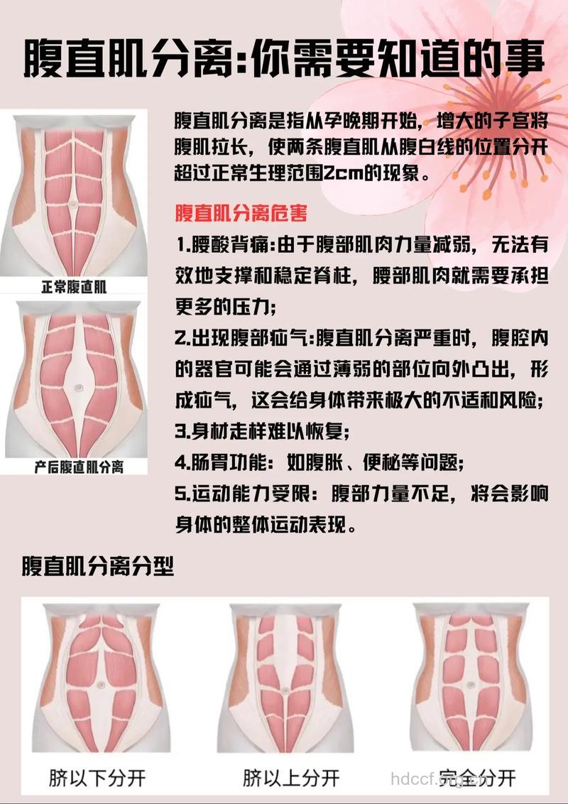 肚子上的肉难减?先弄清长肉的原因