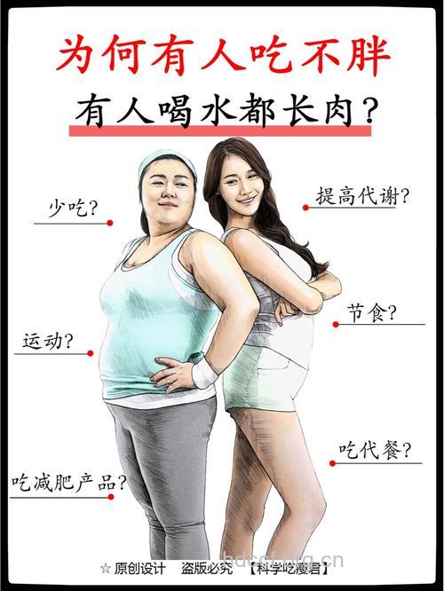 喝水都胖?其实是你每天吃多了!