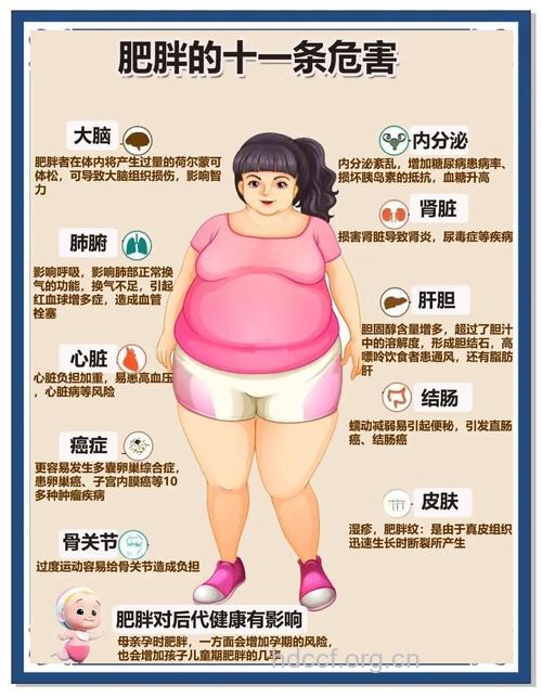 6种让人不容忽视的肥胖原因