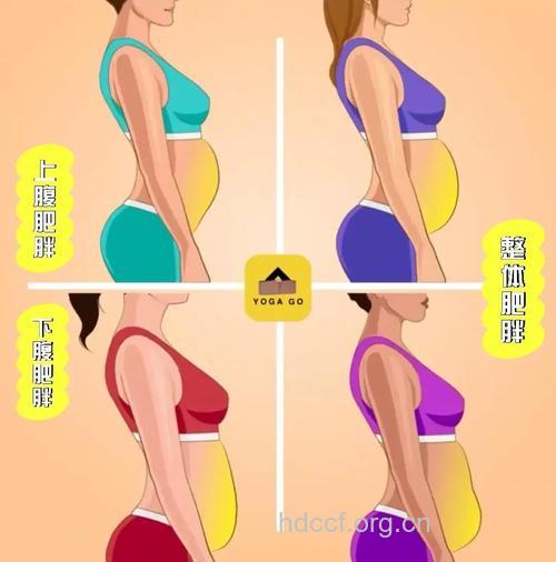 为什么腹部的赘肉越来越多