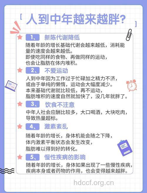 人到中年为什么容易肥胖