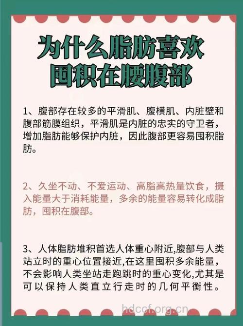 腹部脂肪堆积的5个原因