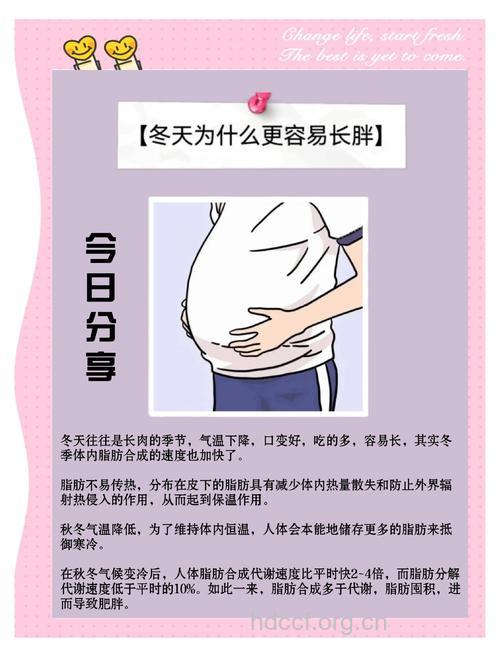 冬季女性为什么会肥胖