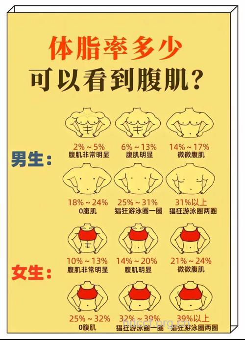 人体多少脂肪才符合标准