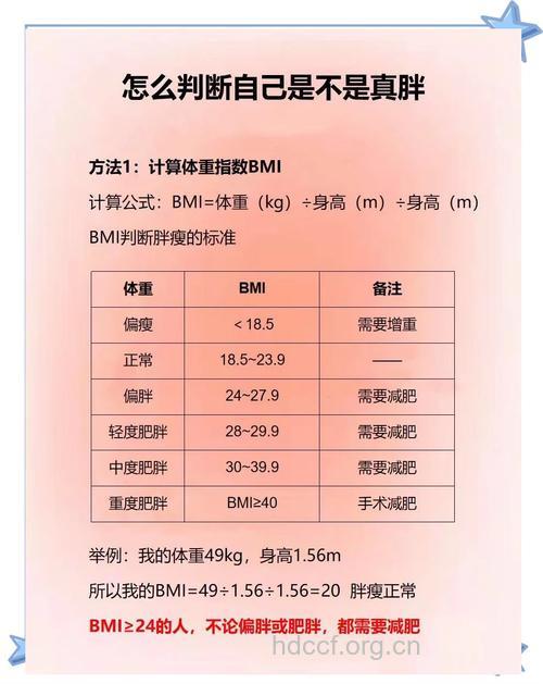 怎么判断是否肥胖