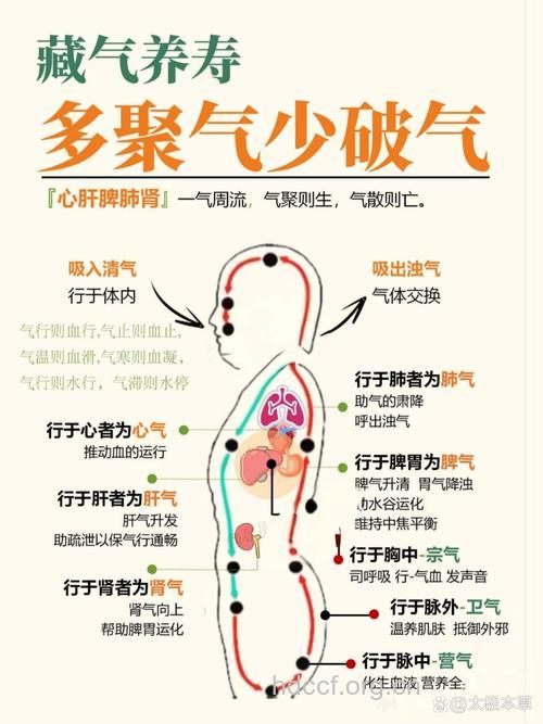 老人该如何调好“气”