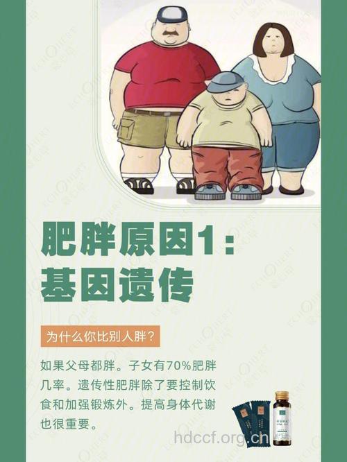 肥胖基因传女不传男