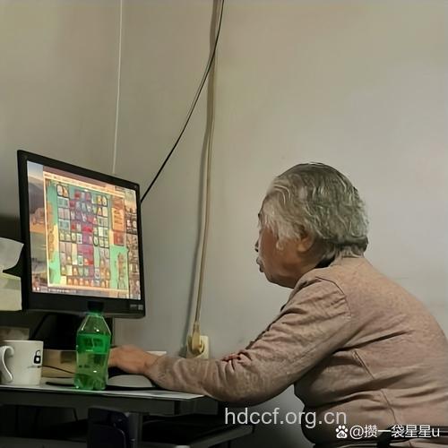 老人玩电脑游戏好吗?