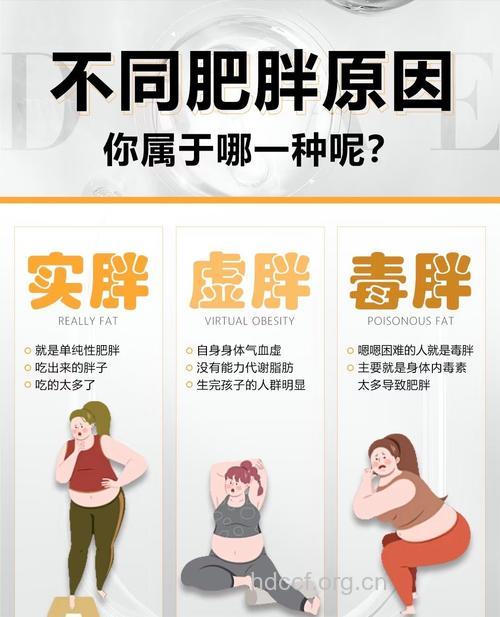 中医认为女人肥胖与肾虚有关