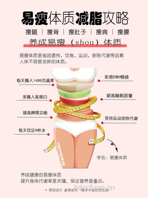 白领减肥的几大主要原因