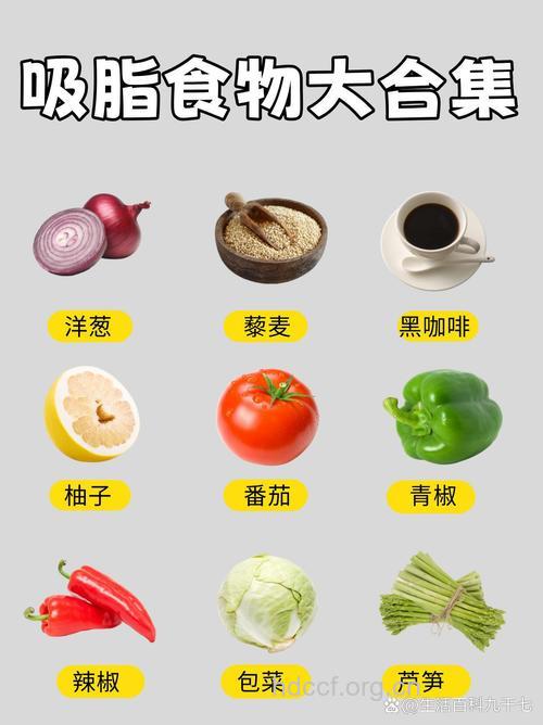 超级吸脂的15种神奇食物