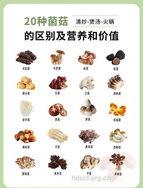 可以减肥消脂的5大菇类