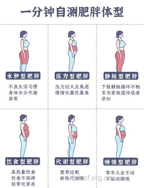 女人一生中最容易长胖的6个阶段