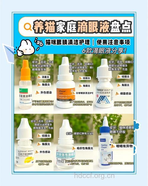 眼线液哪个牌子好用