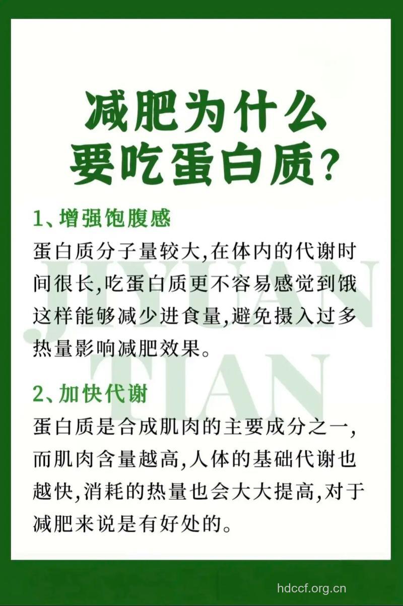 怎么摄入蛋白质减肥方法