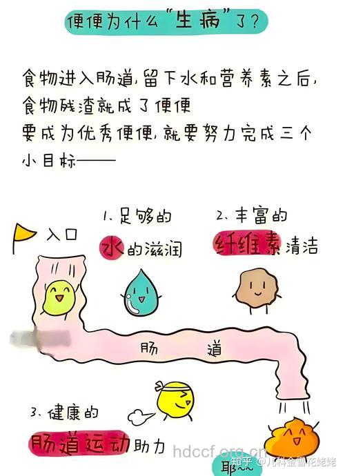 夏季防便秘的简单妙法