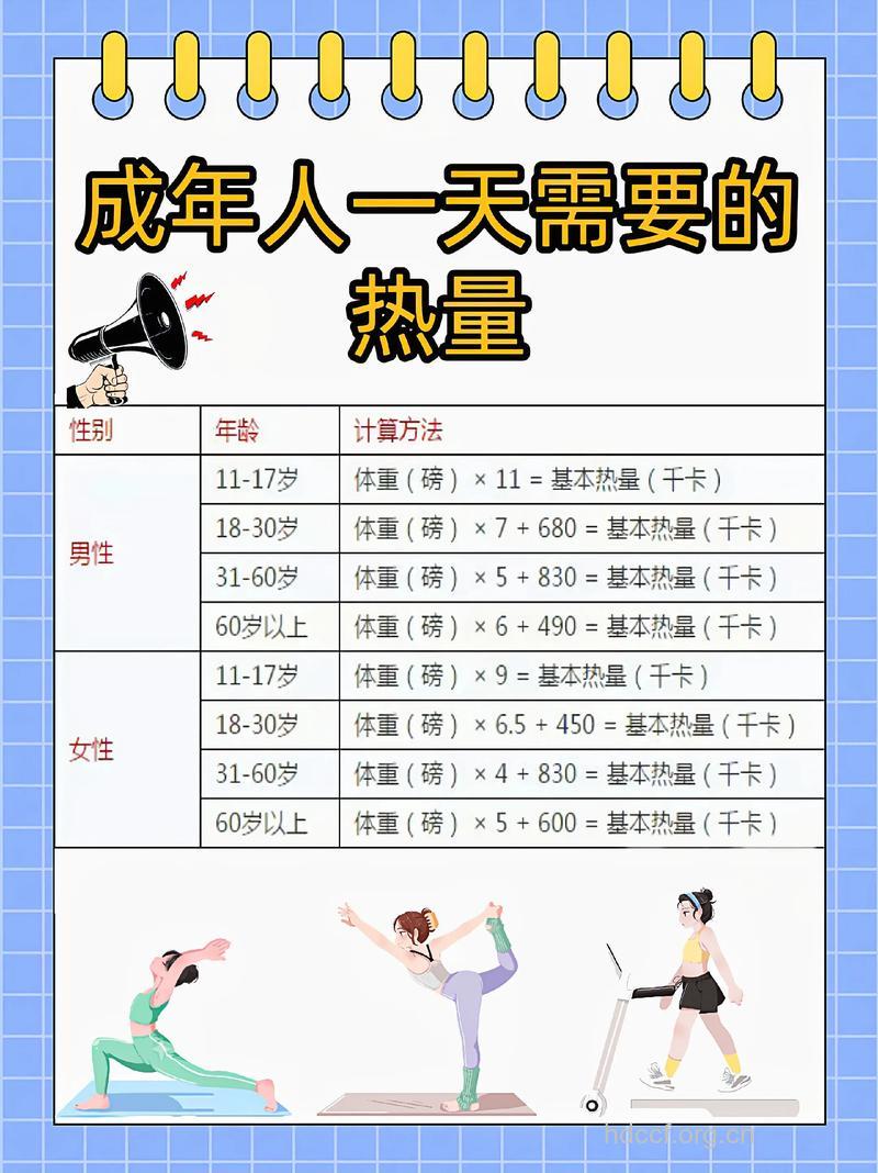 每天需要摄入多少卡路里