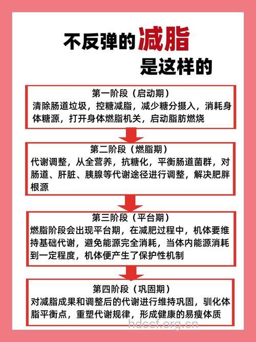 节食减肥为什么容易反弹