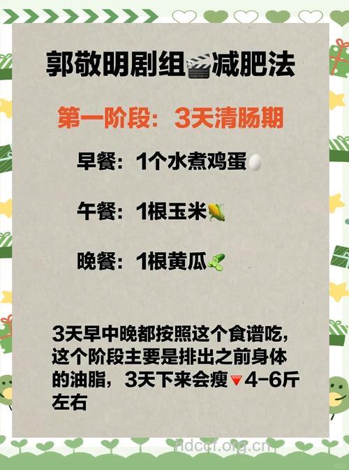 电视一族的减肥秘笈