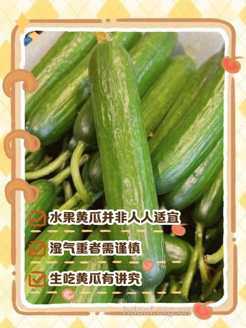 黄瓜当水果吃老年人少食