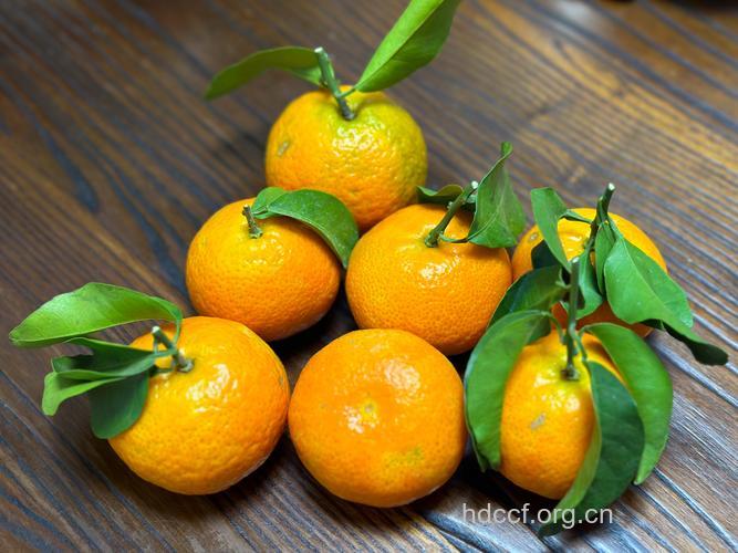 食用酸味水果,秋季最合适