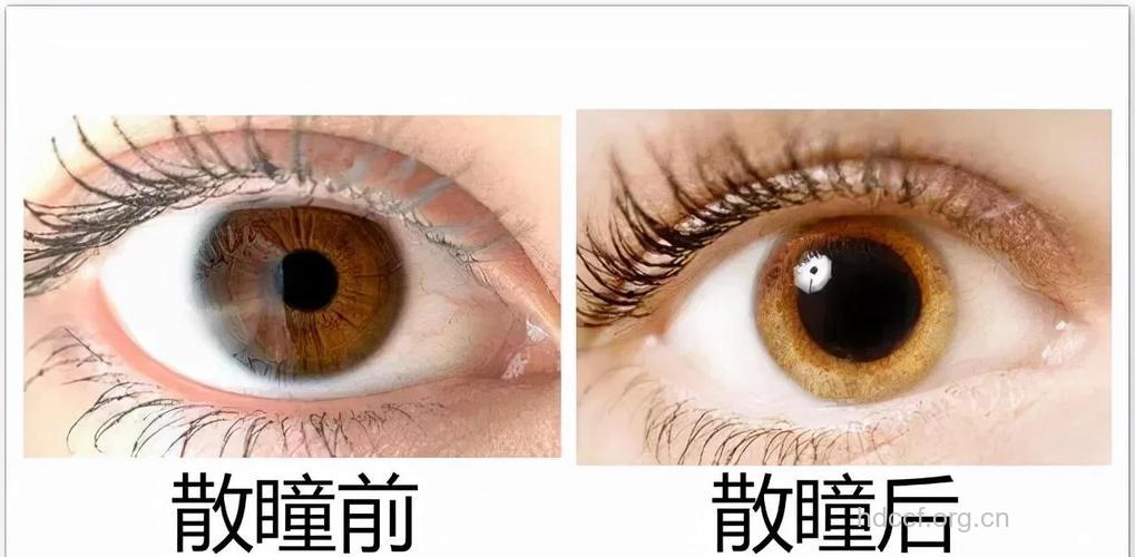 白色改变眼睛的大小