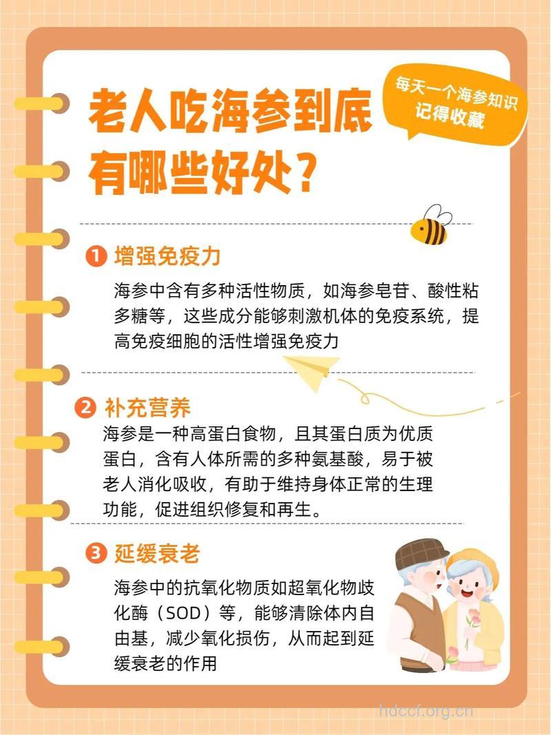 老年人吃海参好吗 老人吃海参有益健康