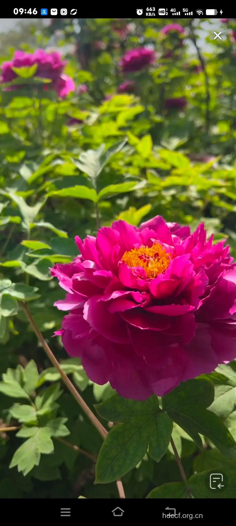 浙江女人最国色天香 河南男人最“臭美”