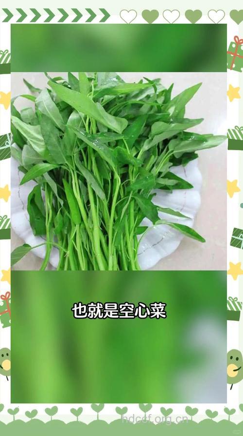 空心菜 体胖老人可多吃