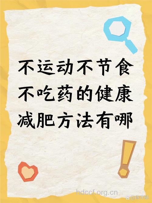不吃药不运动吃也能减肥