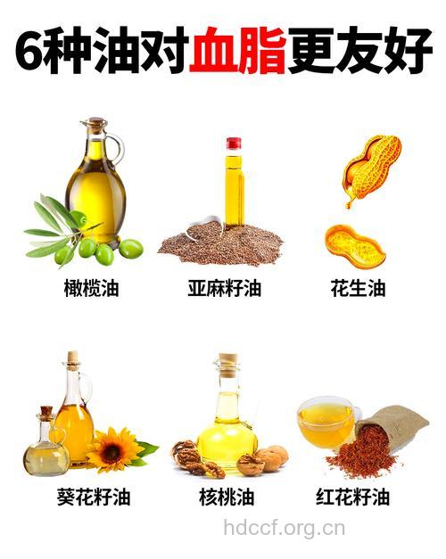 吃什么“油”能快速消脂?